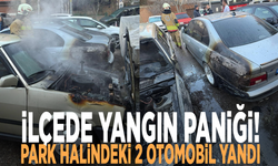 İlçede yangın paniği! Park halindeki 2 otomobil yandı
