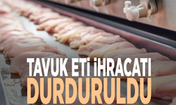 Fiyat artışı sonrası tavuk eti ihracatı durduruldu