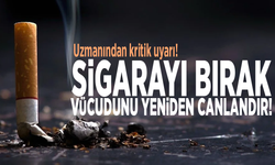 Uzmanından kritik uyarı! Sigarayı bırak, vücudunu yeniden canlandır