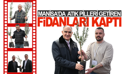 Manisa'da atık piller doğaya zeytin olarak dönüyor