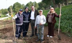 Cinayete kurban giden kadınlar anısına fidan dikildi