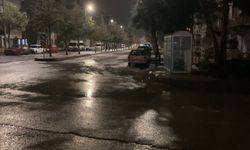 Bayram ziyareti cinayetle bitti! Polis kardeş öldü, baba yaralandı