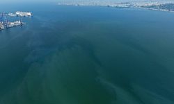 İzmir Körfezi’nde yine dış kaynaklı kirlilik alarmı