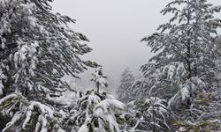 Demirci'ye kar yağdı