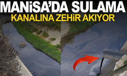 Manisa'da sulama kanalına zehir akıyor: Vatandaşın yardım çığlığı