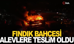 Trabzon’da fındık fabrikasındaki yangına müdahale devam ediyor