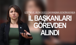 Eğitim ve Bilim Gücü Dayanışma Sendikası’nda il başkanları görevden alındı