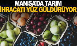 Manisa'da Şubat ayında 82 milyon dolarlık ihracat gerçekleşti