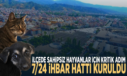 İlçede sahipsiz hayvanlar için kritik adım: 7/24 ihbar hattı kuruldu