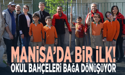 Manisa’da bir ilk! Okul bahçeleri bağa dönüşüyor