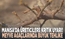 Manisa’da üreticilere kritik uyarı! Meyve ağaçlarında büyük tehlike