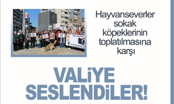 Hayvanseverler sokak köpeklerinin toplatılmasına karşı