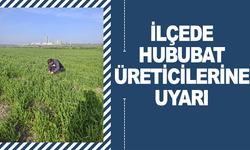İlçede Hububat Üreticilerine Hastalık Uyarısı