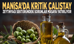 Manisa’da kritik çalıştay... Zeytinyağı sektöründeki sorunlar masaya yatırılıyor