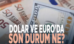 Dolar ve Euro'da son durum ne?