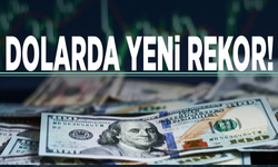 Dolarda yeni rekor!