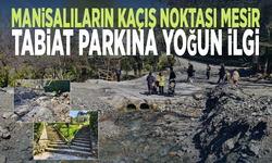 Manisalıların kaçış noktası Mesir... Tabiat parkına yoğun ilgi