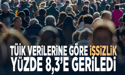 TÜİK verilerine göre işsizlik yüzde 8,3’e geriledi