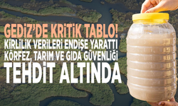 Gediz’de kritik tablo! Kirlilik verileri endişe yarattı: Körfez, tarım ve gıda güvenliği tehdit altında