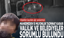 Köpekten kaçarken ağır yaralanmıştı! Mahkemeden 10 milyonluk tazminat kararı: Valilik ve belediyeler sorumlu bulundu