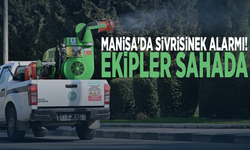 Manisa'da sivrisinek alarmı! Ekipler sahada