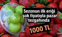 Sezonun ilk eriği şok fiyatıyla pazar tezgahında