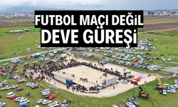 Deve güreşlerine binlerce vatandaş akın etti