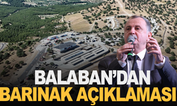 Balaban’dan Sokak Hayvanları Açıklaması