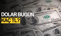 Doların da tansiyonu yükseldi