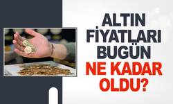 Gram, çeyrek, yarım altın ne kadar oldu?