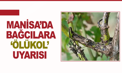 Manisa’da bağcılara ‘Ölükol’ uyarısı