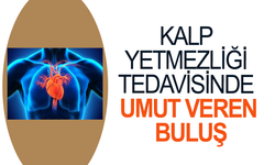 Fransız bilim insanlarından kalp yetmezliği tedavisinde umut veren buluş