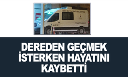 Dereden geçmek isterken hayatını kaybetti