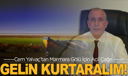 Salihli Ziraat Odası Başkanı’ndan Marmara Gölü İçin Çağrı