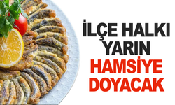 İlçe Belediyesi Yarın Ücretsiz Hamsi Dağıtacak