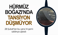 Hürmüz'de tansiyon düşmüyor