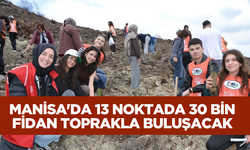 Manisa'da yanan alanlar yeniden yeşeriyor