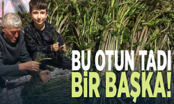 Bu otun tadı bir başka!