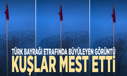 Türk Bayrağı etrafında büyüleyen görüntü... Kuşlar mest etti