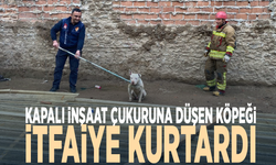 Kapalı inşaat çukuruna düşen köpeği itfaiye kurtardı