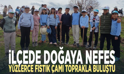 İlçede doğaya nefes... Yüzlerce fıstık çamı toprakla buluştu