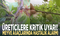 Üreticilere kritik uyarı! Meyve ağaçlarında hastalık alarmı