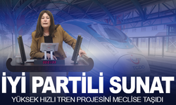 Şenol Sunat’tan YHT Projesi İçin Soru Önergesi