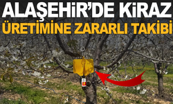 Alaşehir’de Kiraz Üretimine Zararlı Takibi