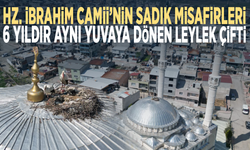 Hz. İbrahim Camii’nin sadık misafirleri.. 6 yıldır aynı yuvaya dönen leylek çifti