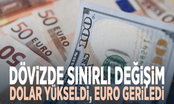 Dövizde sınırlı değişim: Dolar yükseldi, euro geriledi