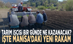 Tarım işçisi bir günde ne kazanacak? İşte Manisa’daki yeni rakam