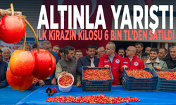 Altınla yarıştı... İlk kirazın kilosu 6 bin TL’den satıldı