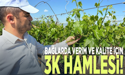 Bağlarda verim ve kalite için 3K hamlesi!