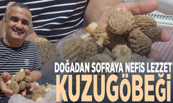 Doğadan sofraya nefis lezzet: Kuzugöbeği